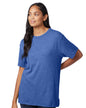 05050BP Alternative Unisex The Keeper Vintage T-Shirt