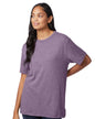 05050BP Alternative Unisex The Keeper Vintage T-Shirt