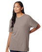 05050BP Alternative Unisex The Keeper Vintage T-Shirt