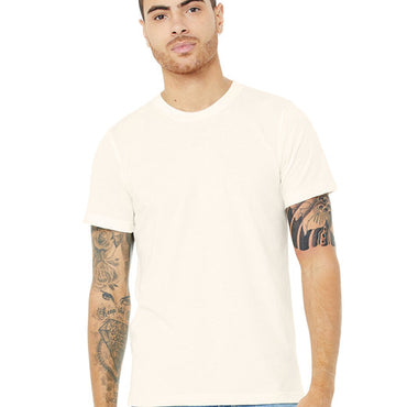 3413C Bella + Canvas Unisex Triblend T-Shirt