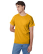 5250T Hanes Men's Authentic-T T-Shirt