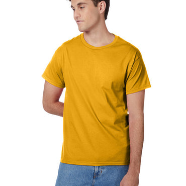 5250T Hanes Men's Authentic-T T-Shirt