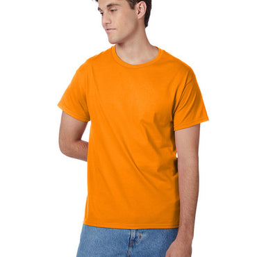 5250T Hanes Men's Authentic-T T-Shirt