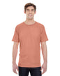 C4017 Comfort Colors Adult Lightweight T-Shirt