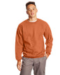 F260 Hanes Adult Ultimate Cotton® 90/10 Fleece Crew