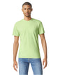 G640 Gildan Adult Softstyle® T-Shirt
