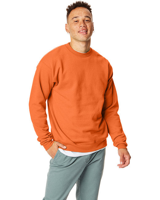 P1607 Hanes Unisex Ecosmart® 50/50 Crewneck Sweatshirt