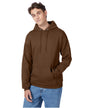 P170 Hanes Unisex Ecosmart® 50/50 Pullover Hooded Sweatshirt