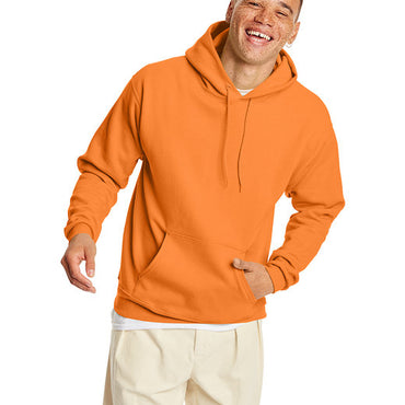 P170 Hanes Unisex Ecosmart® 50/50 Pullover Hooded Sweatshirt