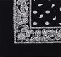 Paisley Bandanna (Imported)