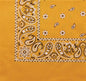 Paisley Bandanna (Imported)