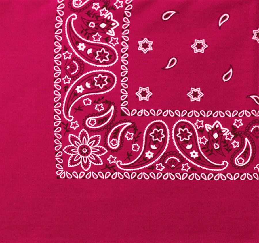 Paisley Bandanna (Imported)