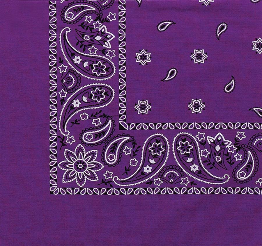 Paisley Bandanna (Imported)