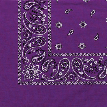 Paisley Bandanna (Imported)