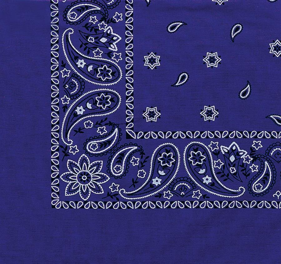 Paisley Polyester Bandanna (Imported)