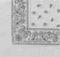 Paisley Bandanna (Imported)