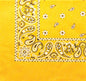 Paisley Bandanna (Imported)
